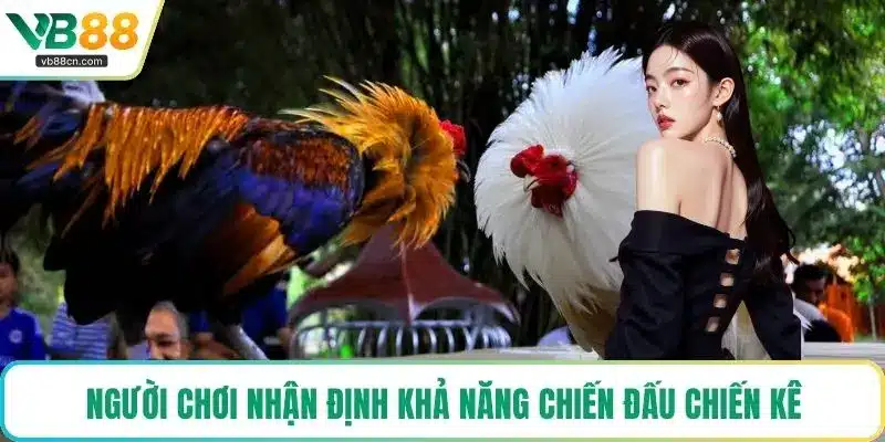 Người chơi nhận định khả năng chiến đấu chiến kê