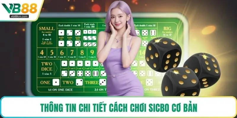 Thông tin chi tiết cách chơi Sicbo cơ bản